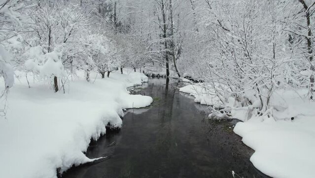 Unfrozen river in winter. Falling snow flakes. Winter coniferous white forest