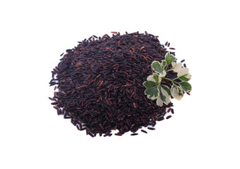 Thai Riceberry rice isolate on white background
