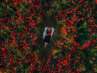 woman laying down on the middle of blooming poppies flowers field