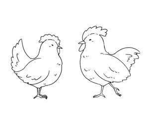 鶏の線画イラスト