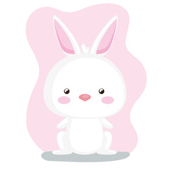 cute tender rabbit front
