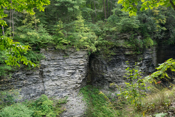 Obraz premium Woodlands and gorge scenery