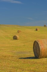 Balle di fieno