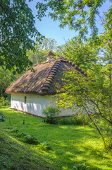 Ukrainian ethno house