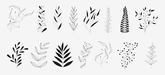 Set of black silhouettes of tropical leaves on an isolated white background. Botanical tree branches, palm leaf on the stem. Spring summer leaf. Concept design logo icons. Vector illustration.