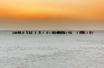 Silhouettes of a people walking one after another on a sand