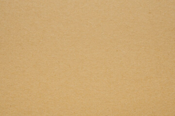 Fototapeta na wymiar Brown paper recycled kraft sheet texture cardboard background