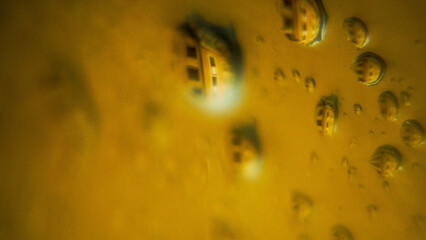 Drops and reflections