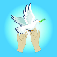A man, human hands, releases a dove holding a green twig with leaves in its beak - a symbol of peace