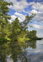 Fototapeta na wymiar Rospuda river near Augustow. Poland