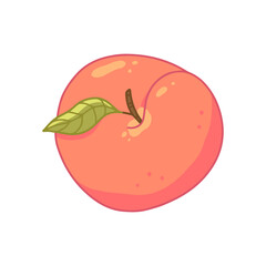 Peach with a leaf top view in cartoon style. Isolated illustration.