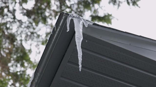 Dripping Icicles hang over edge of roof with soffit and eavestrough melting