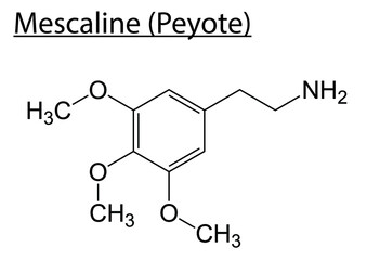 Chemical structure of Mescaline (Peyote) on a white background. - obrazy, fototapety, plakaty