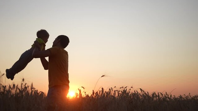 father and son. happy family baby a kid dream concept father throws his son into the air silhouette in the wheat field at sunset. happy fun family dad plays with his baby son in nature at sunset
