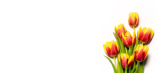 Red and yellow tulips on white background top view with copy space