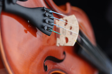 Vertical shot of violin details