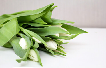 Nahaufnahme eines Strauß mit wunderschönen Tulpen zum Valentinstag.