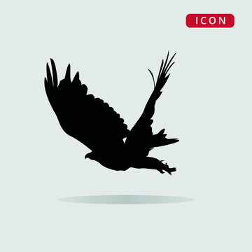 Vector illustration of a hawk, vector flat icon of a bird for websites, stickers and logo.