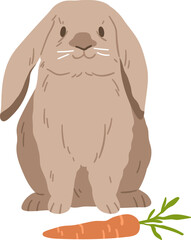 Cute Lop Rabbit Realistic Illustration