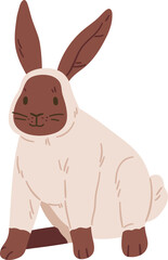 Cute Rabbit of Siamese Breed Realistic Illustration