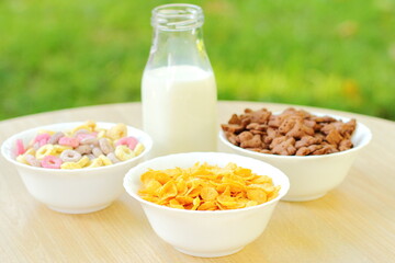 Bowls with different sorts of breakfast cereal products, white bowls with morning meal