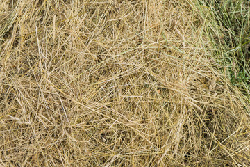 background of a stack of dry hay from a variety of grasses