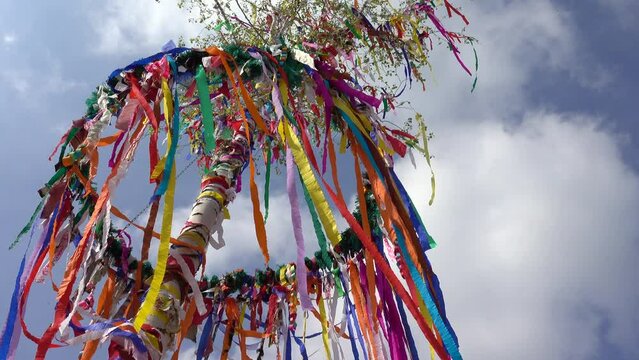 Geschm&uuml;ckter Maibaum, Deutschland