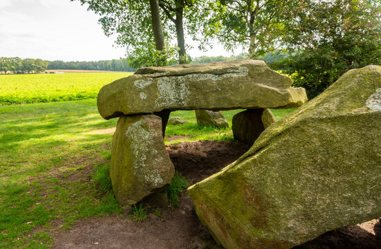 Prehistoric dolmen D29, built in the stone age, located in the village of Borger, Province Drenthe