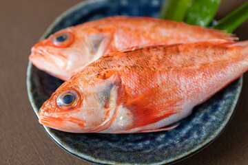 新鮮なのどぐろ