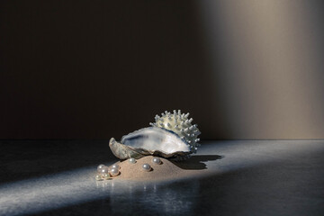 Underwater still life abstract studio photo with rock, sand, pearls, large oyster shell, urchin art sculpture, and shadow light from window