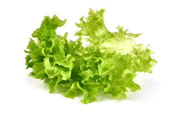 Salad leaf. Lettuce, isolated on white background. High resolution image.