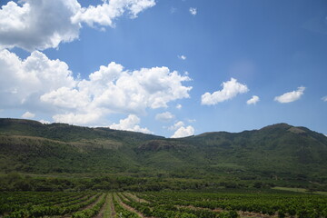 Obraz premium View of fields on the path with white clouds and green land