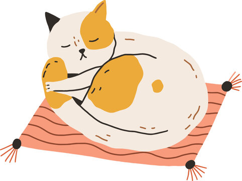 Cute Cat Sleeping Doodle Illustration