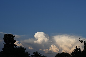 Fototapeta premium White Clouds in a Blue Sky