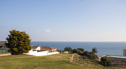Fototapeta na wymiar Rural landscape with sea and houses.