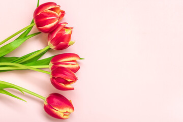 Bouquet of red tulips on pink background Top view Flat lay Holiday greeting card Happy moter's day, 8 March, Valentine's day, Easter concept Copy space Mock up