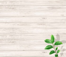 ぬくもりのある色調の木目の白い板と初夏の葉っぱのおしゃれな壁紙や背景素材