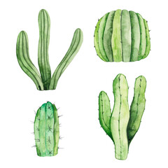 Watercolor set of green cacti isolated on white background. Exotic tropical desert plant.