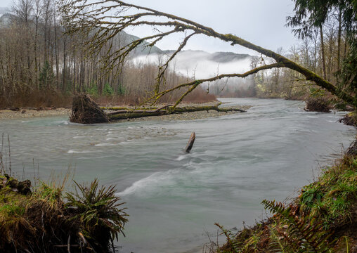 Meandering Skagit River