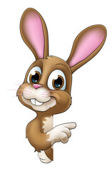 Easter Bunny Rabbit Cartoon Character Peeking Sign