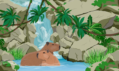 A pair of large capybaras are sitting in the water near a large tropical waterfall. Rodents of South America. Realistic vector landscape