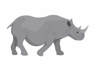 Rhinoceros. Realistic Vector Animals