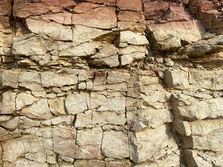 cracks. dry land