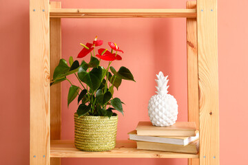Shelf unit with Anthurium flower, decor and  books on color background