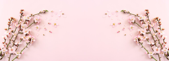 image of spring white cherry blossoms tree over pink pastel background