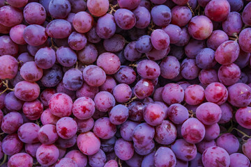 Close up of raw organic sweet red grapes background.