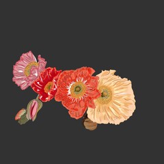 Watercolour illustration red flower on black background