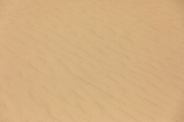 Fototapeta na wymiar sand texture background 2
