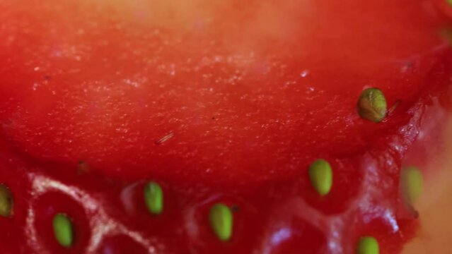 Macro shot of strawberry slices on a homemade strawberry cake, close up view from above in 4k.