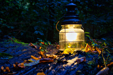 Old lantern in the forest